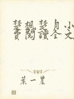 楚枫楚月小说免费阅读全文