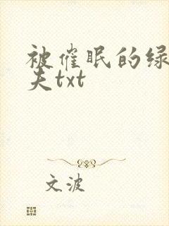 被催眠的绿帽夫夫txt