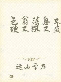 色翁荡息又大又硬又粗又爽小莹封面
