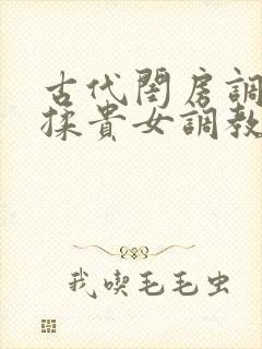 古代闺房调教h揉贵女调教记