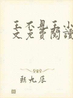 王不见王小说全文免费阅读