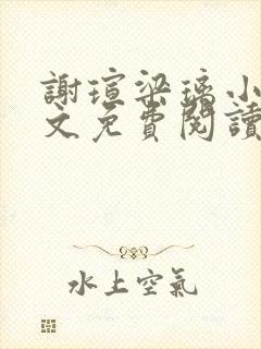 谢瑄梁璃小说全文免费阅读