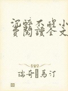 沉醉不醒小说免费阅读全文无弹窗