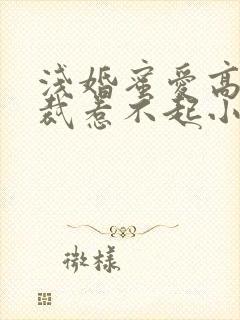 浅婚蜜爱高冷总裁惹不起小说免费阅读