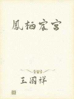 凤栖宸宫封面