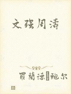 文强周涛