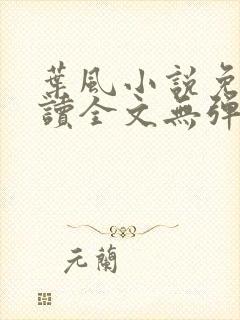 叶风小说免费阅读全文无弹窗