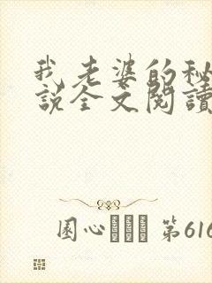 我老婆的秘密小说全文阅读