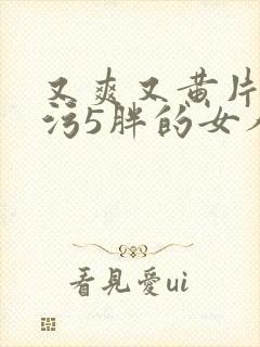 又爽又黄片成人污5胖的女人