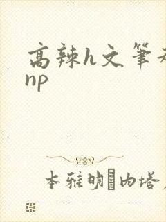 高辣h文笔趣阁np