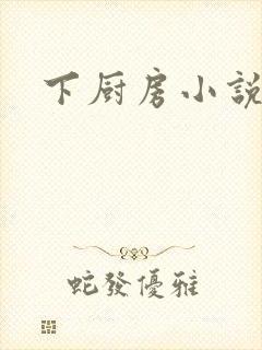 下厨房小说封面