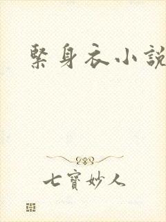 紧身衣小说封面