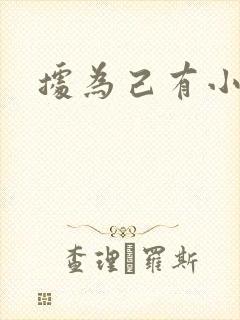 据为己有小说