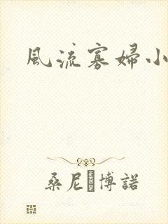 风流寡妇小说