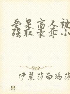 受是商人被皇帝强取豪夺小说
