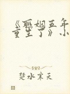 《联姻五年后她重生了》小说