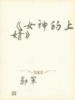 《女神的上门豪婿》封面