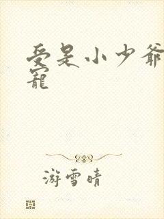 受是小少爷攻很宠