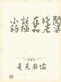 小说在线阅读我的极品老婆