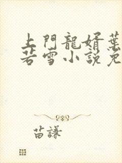 上门龙婿叶凡唐若雪小说免费封面