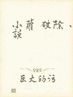 小萝 破除 小说