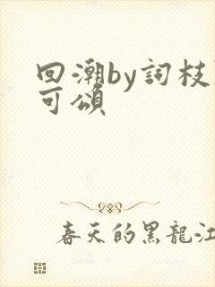 回潮by词枝陈可颂封面