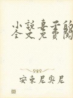 小说妻子的秘密全文免费阅读全文