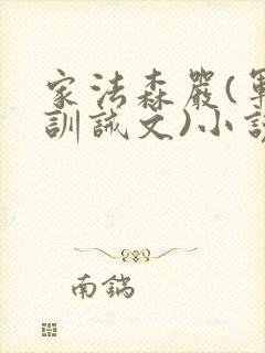家法森严(军人训诫文)小说