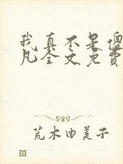 我真不是傻子叶凡全文免费阅读