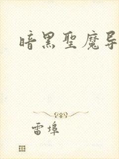 暗黑圣魔导