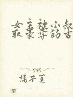女主被小叔子强取豪夺的古言封面