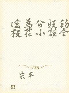 沧为公歧的清纯校花小说全文在线阅