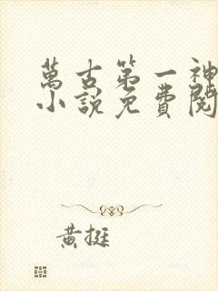万古第一神正版小说免费阅读