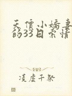 天价小娇妻总裁的33日索情封面