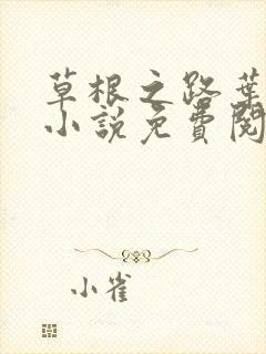 草根之路叶泽涛小说免费阅读全