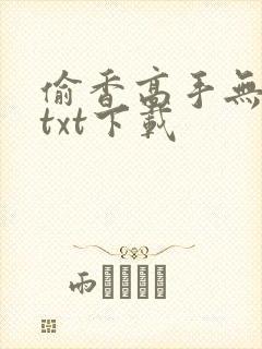 偷香高手无删减txt下载