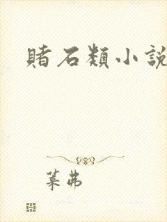 赌石类小说