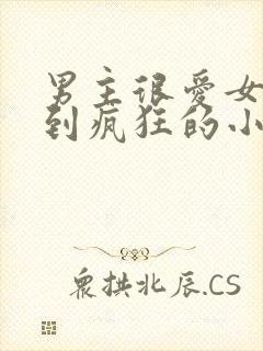 男主很爱女主爱到疯狂的小说现言封面