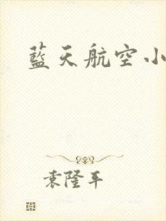 蓝天航空小说