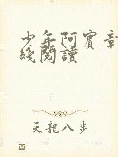 少年阿宾章节在线阅读