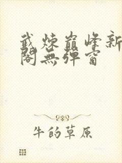 武炼巅峰新笔趣阁无弹窗