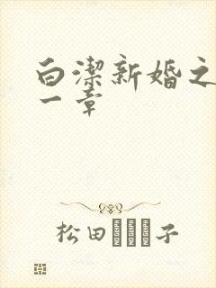 白洁新婚之夜第一章封面