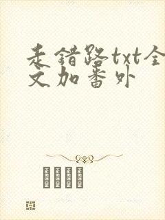 走错路txt全文加番外