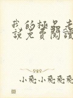 我的极品老婆小说免费阅读封面