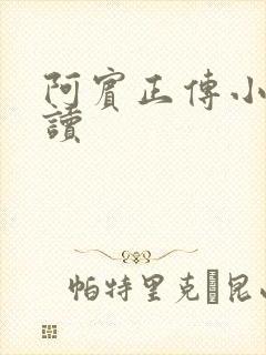 阿宾正传小说在读
