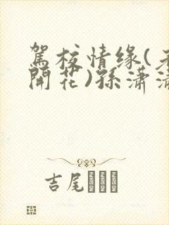 驾校情缘(老树开花)孙潇潇笔趣阁