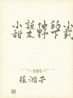 小说他的小祖宗甜又野下载