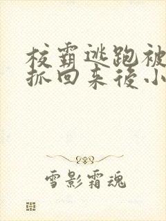 校霸逃跑被学霸抓回来后小说