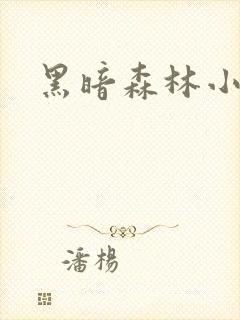 黑暗森林小说封面
