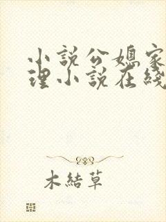 小说公媳家庭伦理小说在线阅读